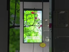 विंडो प्रदर्शन